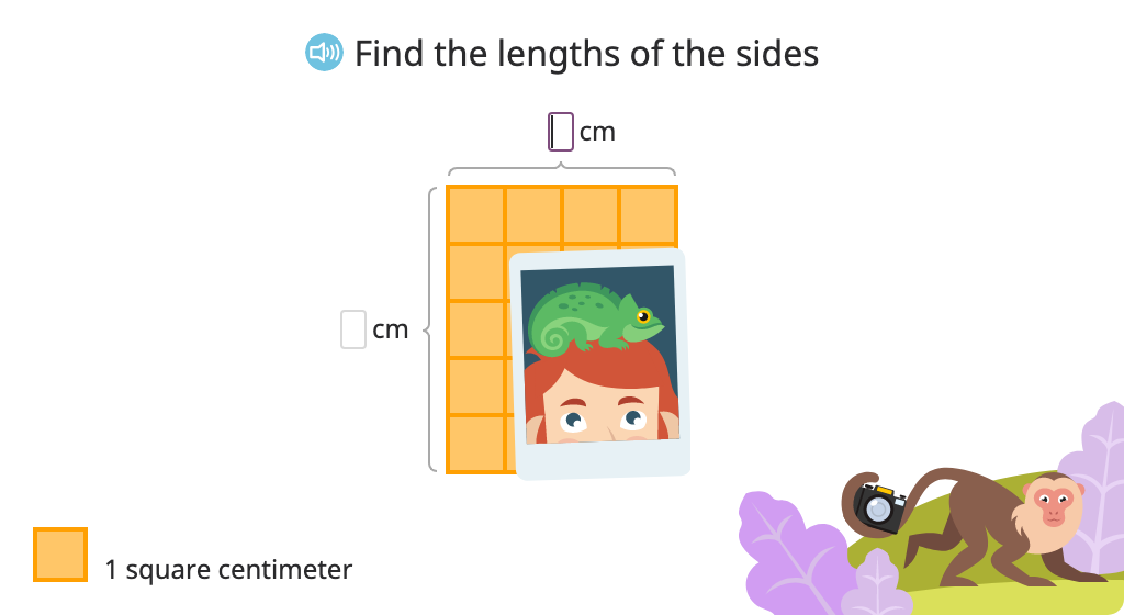 Determine the area of a rectangle by multiplying the lengths of the sides (Level 1)