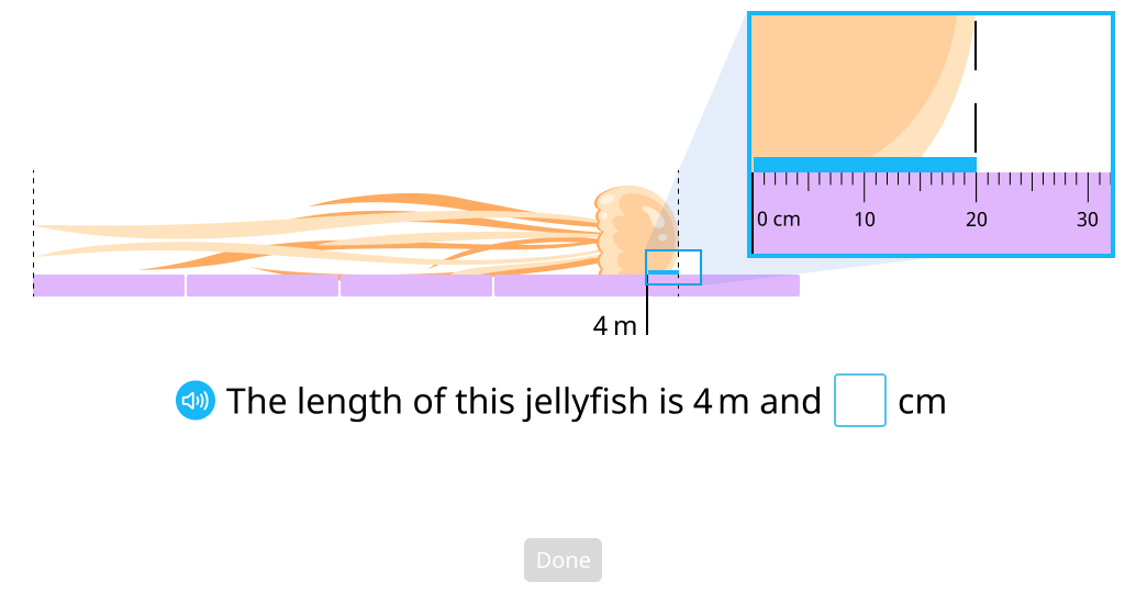 Measure items with a meter stick